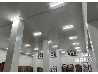 長(zhǎng)沙洽洽5000立方食品堅(jiān)果原料加工冷庫工程建造方案