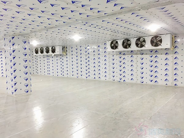 建一個(gè)冷凍庫造價(jià)需要多少錢一平方？