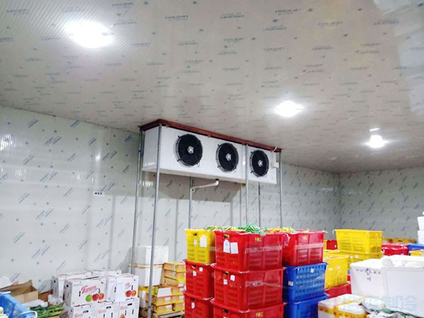蘋果冷藏庫建設(shè)費(fèi)用一平方多少錢?