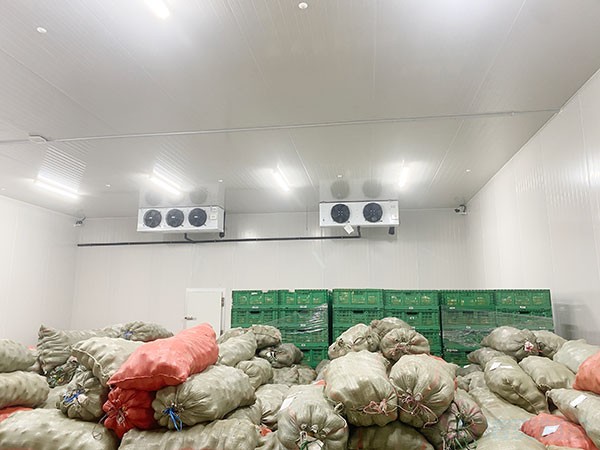 影響蔬菜保鮮冷庫建造價格的因素有哪些？
