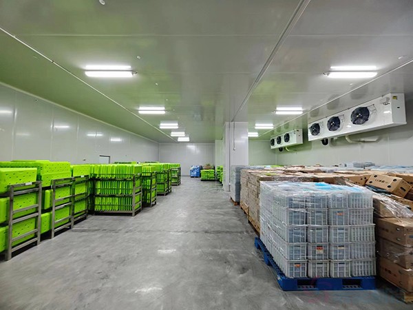 大型工業(yè)藥品冷庫建設(shè)安裝價格大概多少錢？